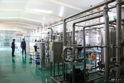 甘肅動(dòng)力源棗業(yè)果酒棗旺棗福上市