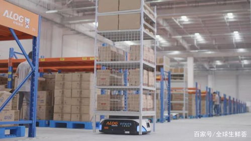 智能時(shí)代,倉(cāng)儲(chǔ)物流如何降低成本,提高效率